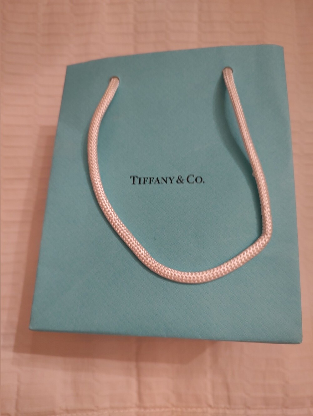 Tiffany & Co. Blue Jewelry Bag with White Rope Handles